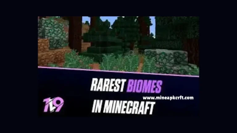 Minecraft Biomes
